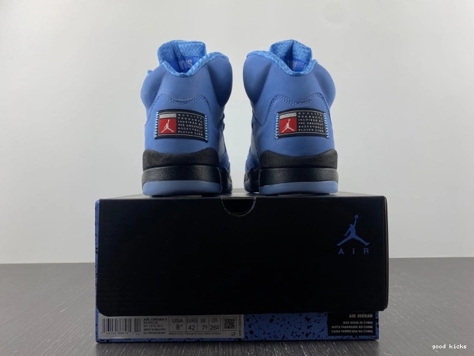 Cheap Air 5 UNC DV1310-401 Jordan 0713